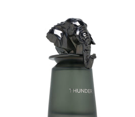 Thunder