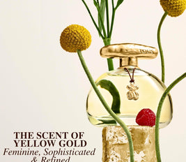 TOUS TOUCH the original gold edt vapo 100 ML