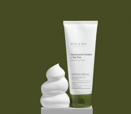 Houttuynia Cordata + Tea Tree Cleansing Foam - 150ml