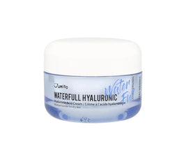Waterfull Hyaluronic Cream - 50 g