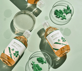 Mugwort Calming Toner - 300 ml