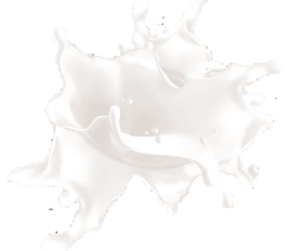 Pure Cleansing Milk - 200 ml